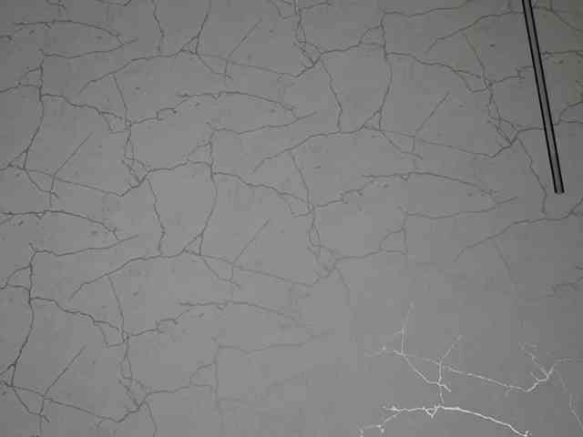 AvaDesire-