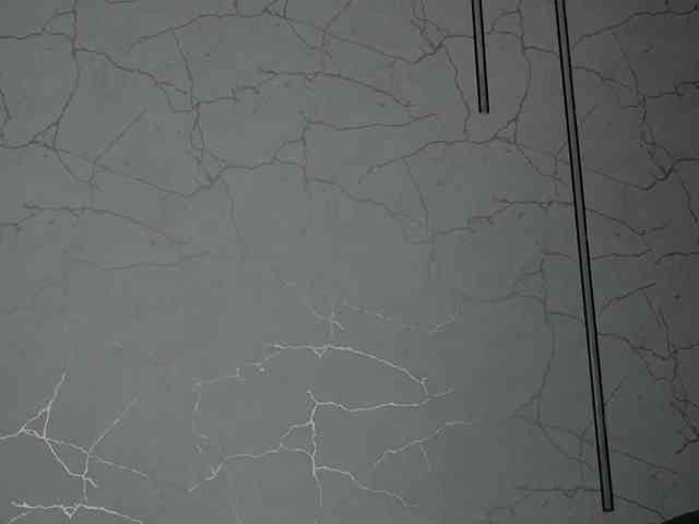 AvaDesire-