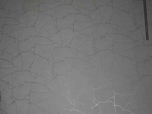 AvaDesire-