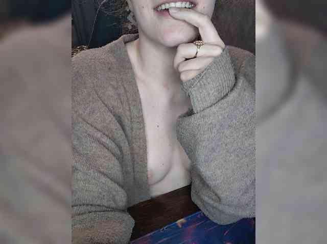 Militur webcam