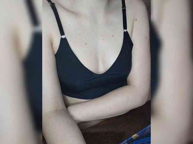 Militur webcam