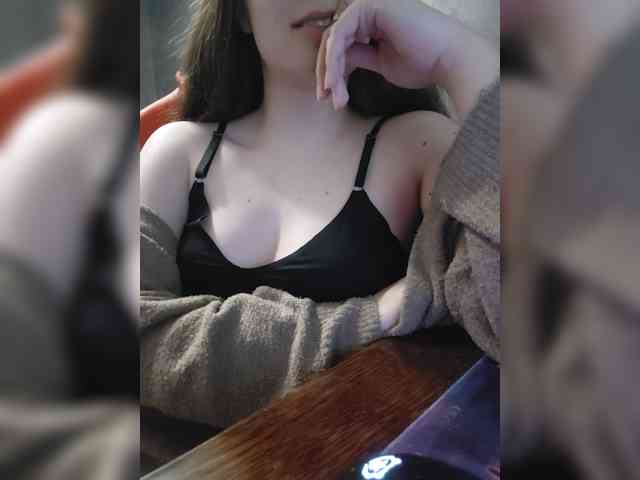 Militur webcam