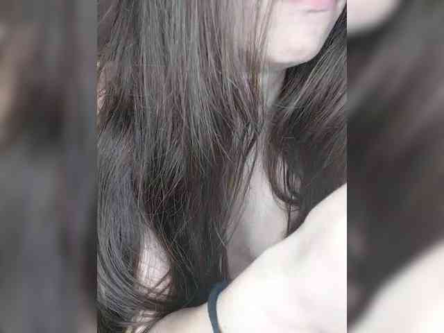 Militur webcam