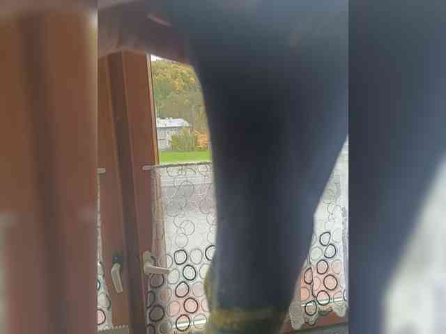 Docek1md1