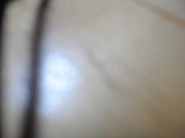 WetForYou live cam on BongaCams