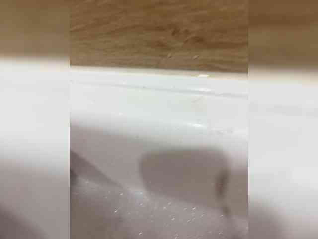 Seksksksks1