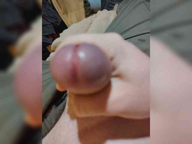 thenikitik66