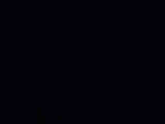 XsandrVK11