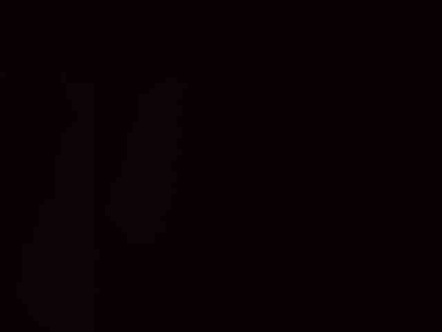 XsandrVK11