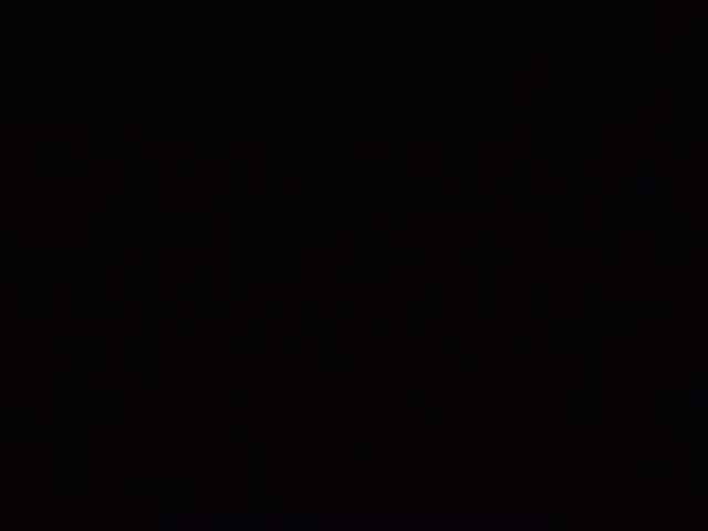 XsandrVK11