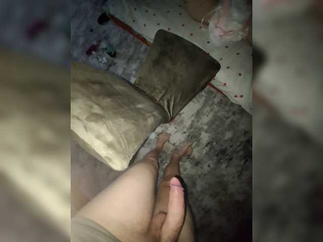 Pollii18