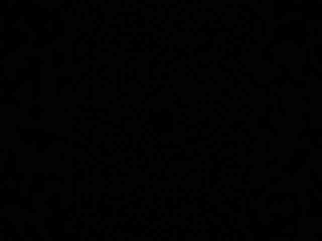 Pollii18 webcam