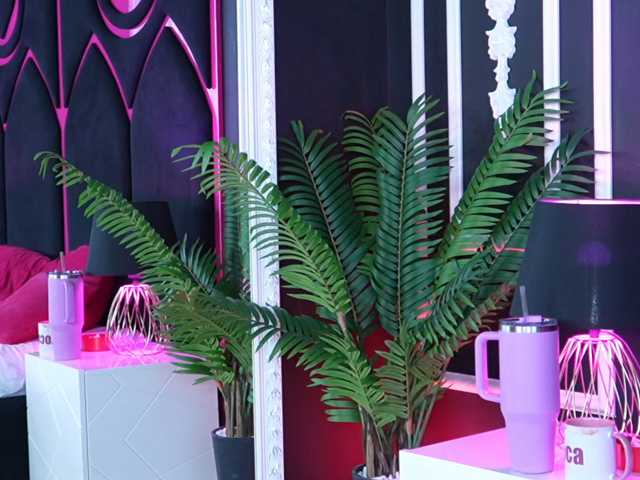 ElsieHaze live cam on BongaCams