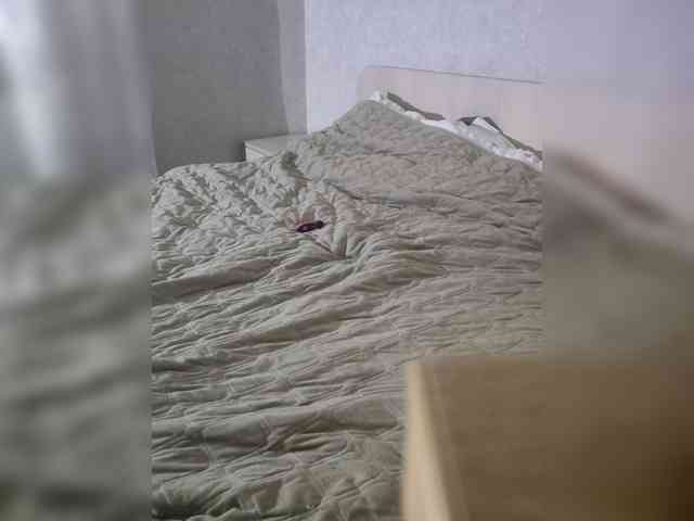 OoLia