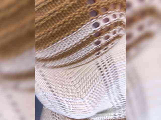 Priscy02