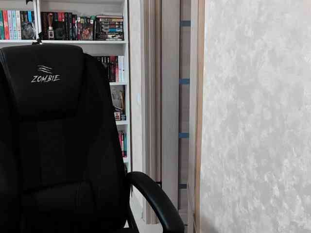 gameoverr