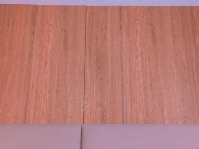 ZoehAngel live cam preview