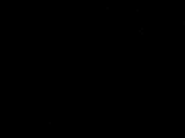 broshka webcam