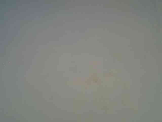 DaisyafterDarke webcam