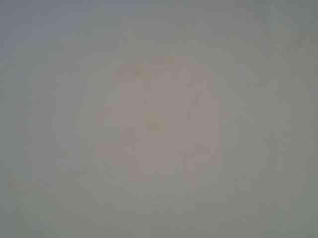 DaisyafterDarke DaisyafterDarke