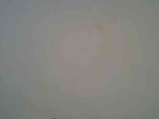 DaisyafterDarke