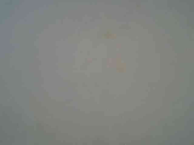 DaisyafterDarke