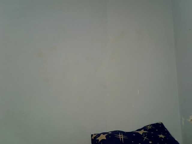 Missbehaved1 live cam on BongaCams