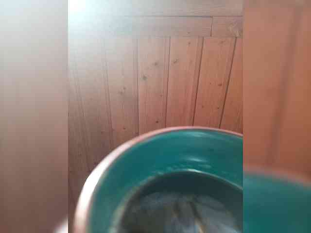 Bkack11