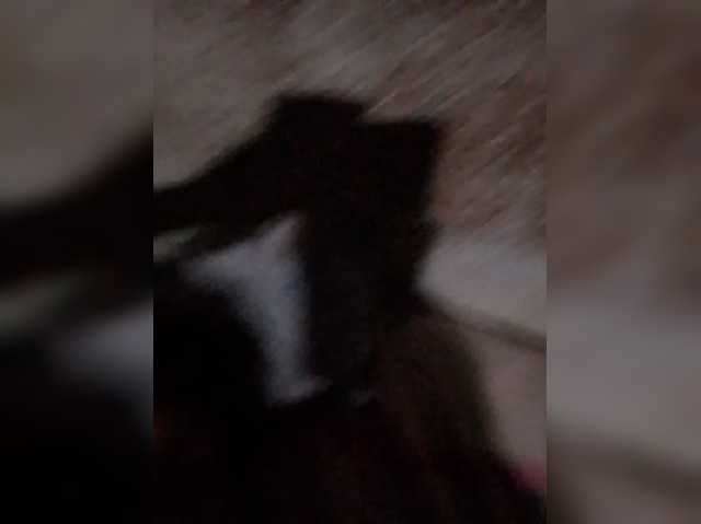 narda2