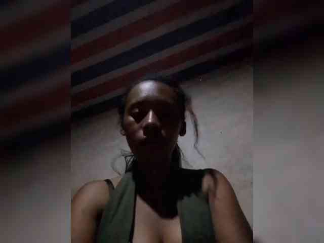 Model: narda2
