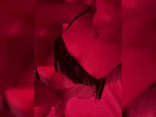 Pollli