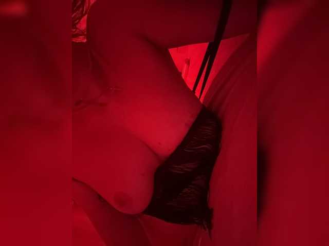 Pollli live cam