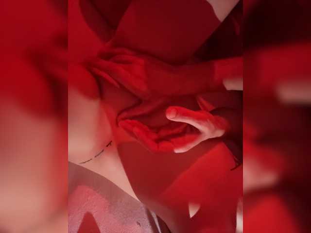 Pollli live cam