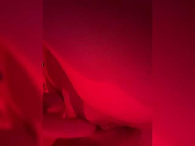 Pollli live cam