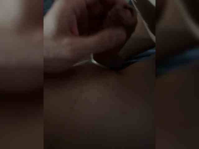 Pollli