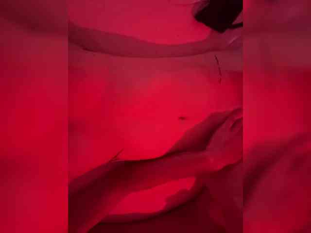Pollli