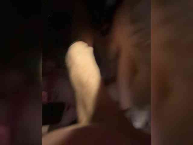 Pollli