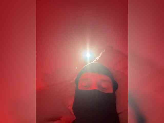 Pollli