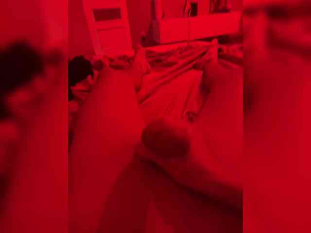 Pollli