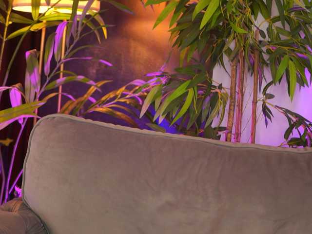 DahliaEden live cam on BongaCams
