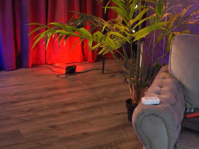 DahliaEden live cam on BongaCams