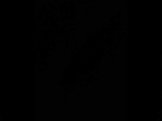 ViKunia