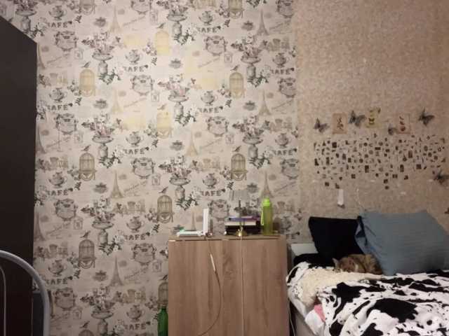 ShellySpakes webcam