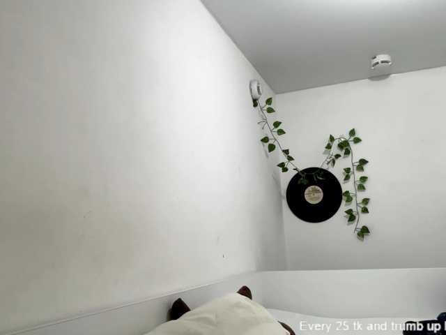mollymil live cam on BongaCams