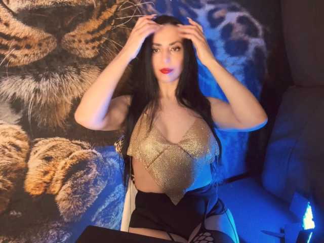 Gold-Fox live cam preview