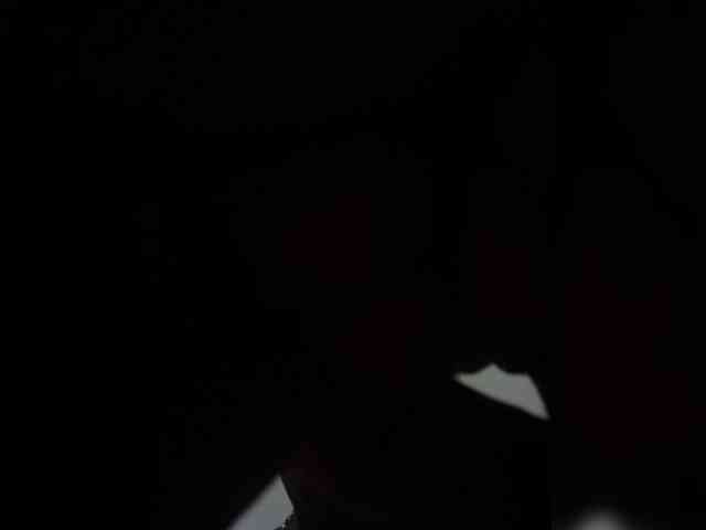 Xyena