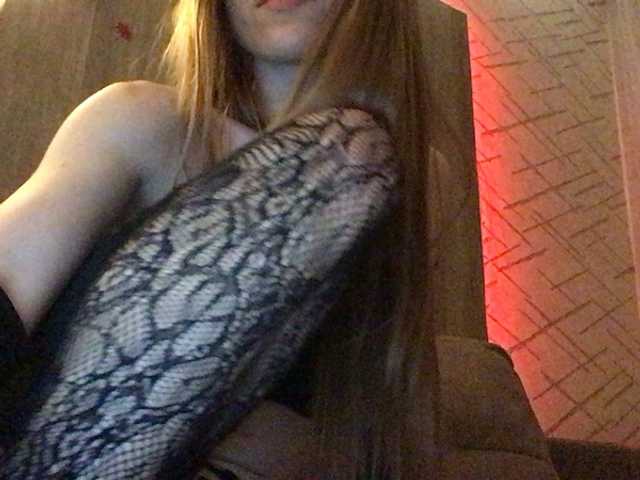 Lexy_Cat