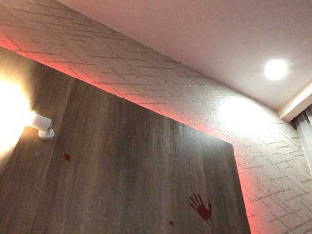 Lexy_Cat live cam on BongaCams