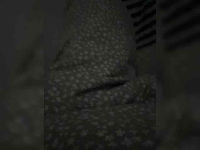 S1Ptaha
