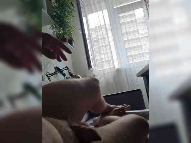 ampario